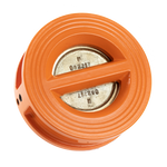 Non return valve CI DN100