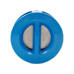 Non return valve CI DN100